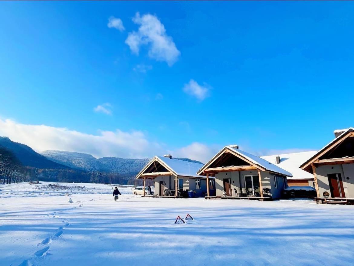 Osada Gorski Potok Holiday home *